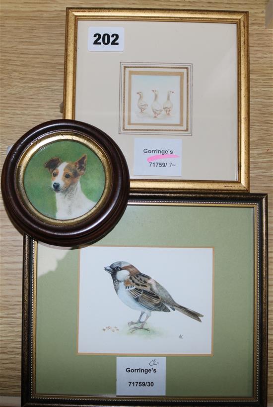 Sally Crowden, watercolour, Sparrow and Anne Whiteside Small Gaggle and Sheila Sewell Sam, (3)